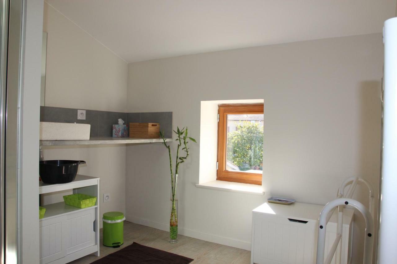 Grand Duplex Au Calme En Centre-Ville Villefranche-sur-Saône Exteriör bild